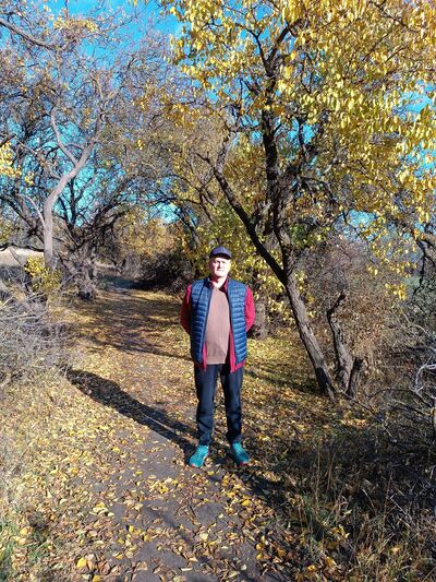  --,   , 65 ,     , c 