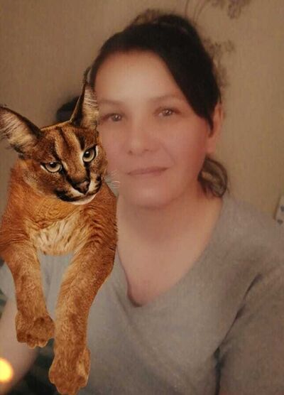  ,   , 42 ,   