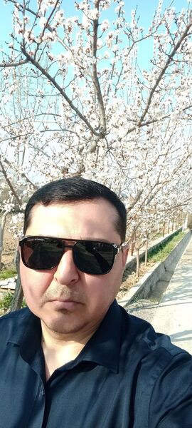  ,   Zorro, 45 ,   ,   