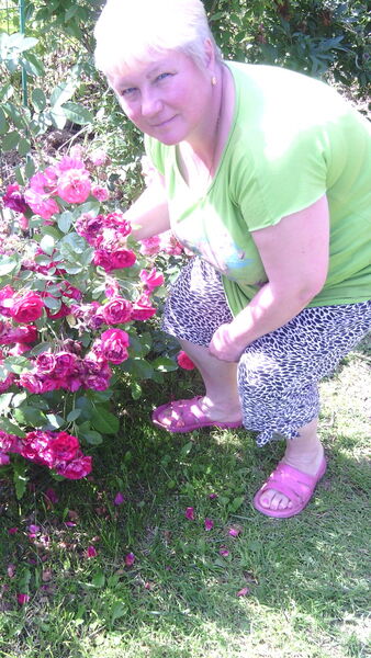  ,   , 59 ,   
