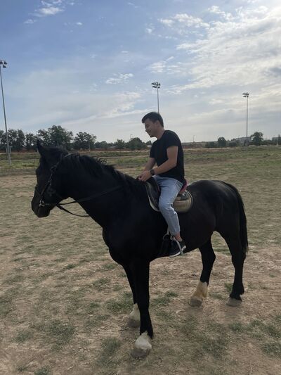  ,   Javohirbek, 22 ,   ,   