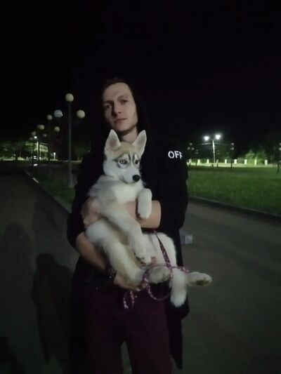  ,   , 31 ,   ,   , c , 