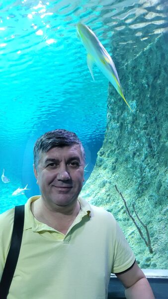  ,   , 55 ,   , 