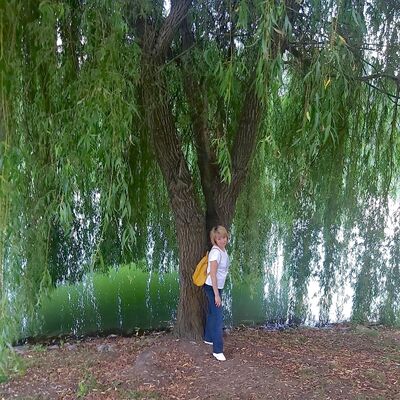  -,   , 53 ,     , c , 