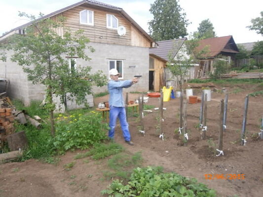  ,   Oleg, 61 ,   ,   , c 