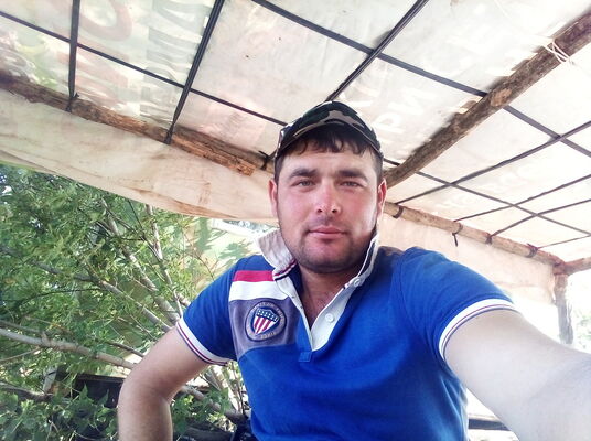  -,   , 33 ,   ,   , c 