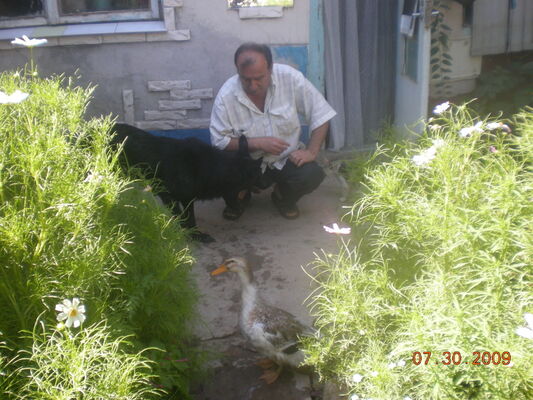  ,   , 53 ,   