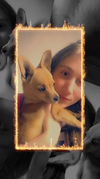  ,   , 24 ,   
