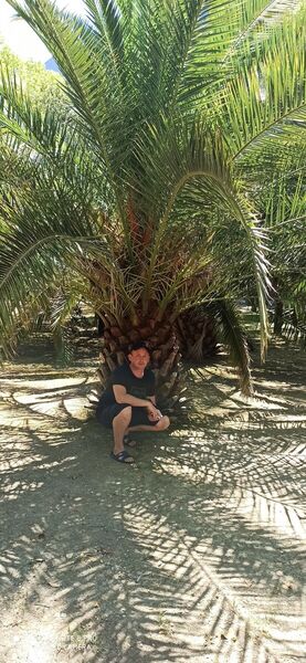  ,   Mikhail, 35 ,   ,   , c 