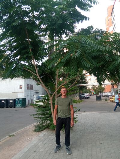  ,   , 34 ,   c , 