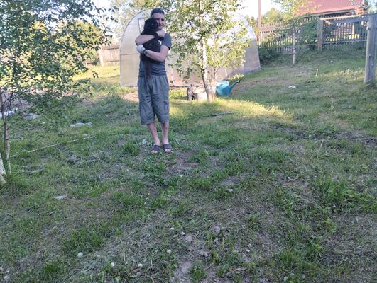  ,   , 38 ,   ,   , c , 