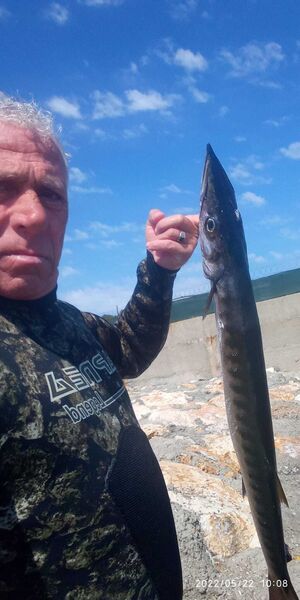  ,   Huseyin, 56 ,   ,   