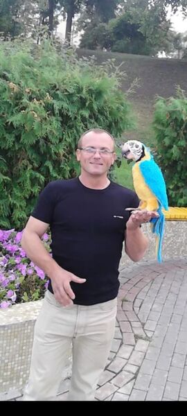  ,   , 54 ,     , c 