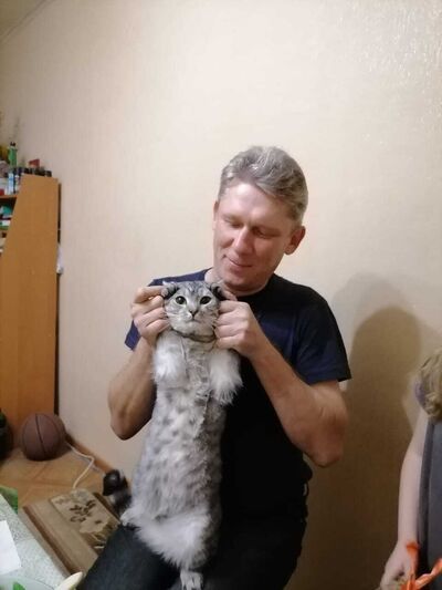  ,   , 50 ,   c 