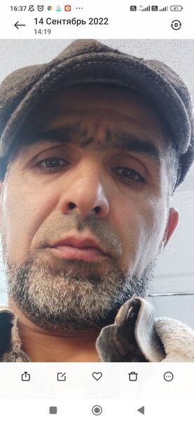  -,   , 48 ,   ,   