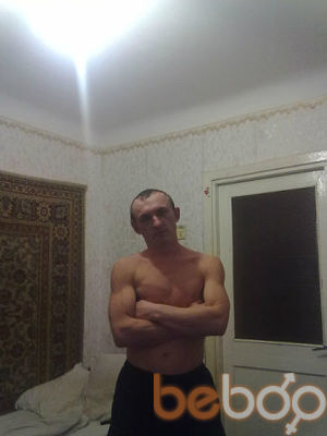  3786460  , 38 ,    