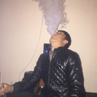 -,   Salax, 24 ,   ,   