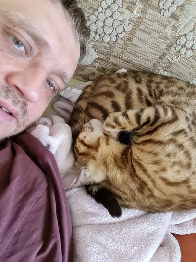  ,   , 43 ,   ,   , c 