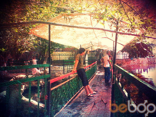 ���������� ������������, ���� ������� ������, 31 ���, ������������ ��� ������, ����� � ���������, c�������� ���������, ���������