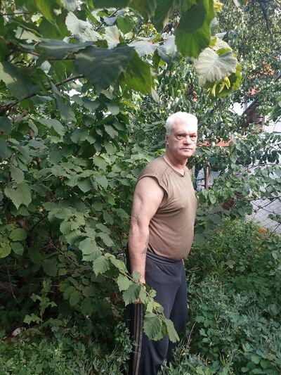  ,   , 66 ,   ,   , c , 