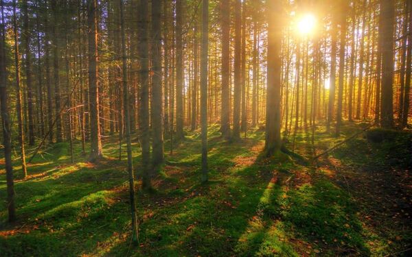  ,   Gennadij, 46 ,   ,   , c 