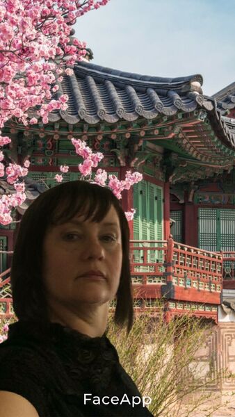  ,   , 52 ,   ,   
