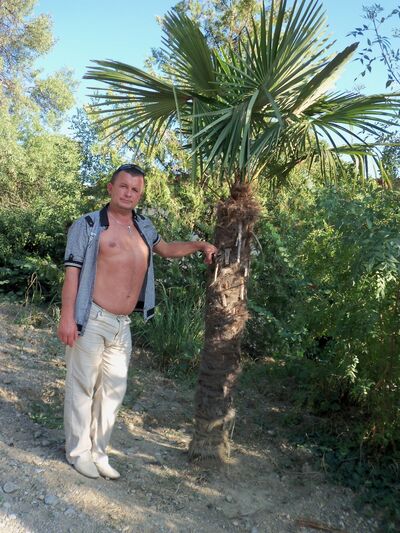  ,   Medvezhonok, 55 ,   ,   , c 