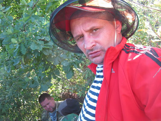  ,   , 54 ,   ,   