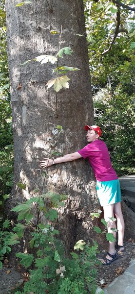  ,   Sanches, 38 ,   c 