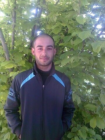  ,   Aider, 37 ,   ,   