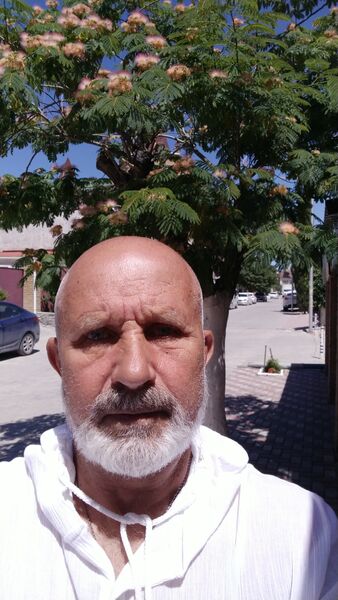  ,   , 58 ,   