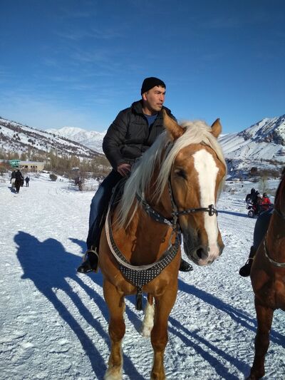  ,   Olim, 42 ,  