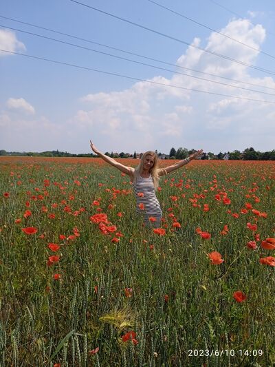  Ammerndorf,   , 40 ,   ,   