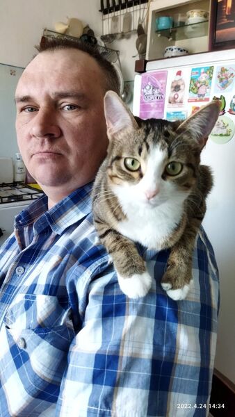  ,   , 53 ,   ,   , c 