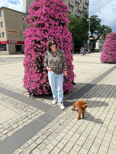  ,   , 58 ,     , c 