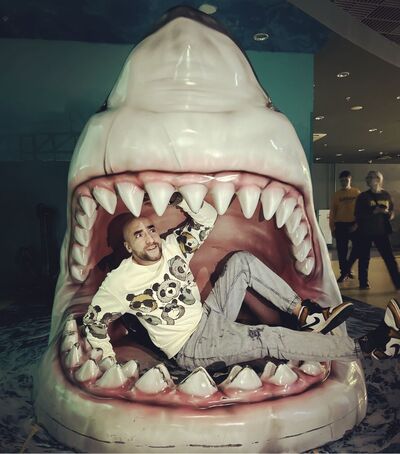  ,   , 29 ,   ,   , c , 