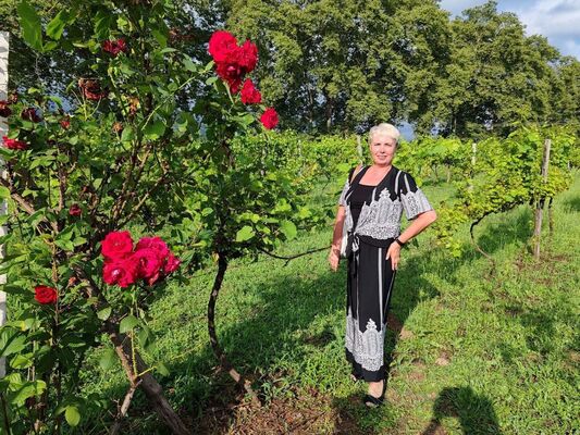  ,   , 55 ,   ,   , c , 