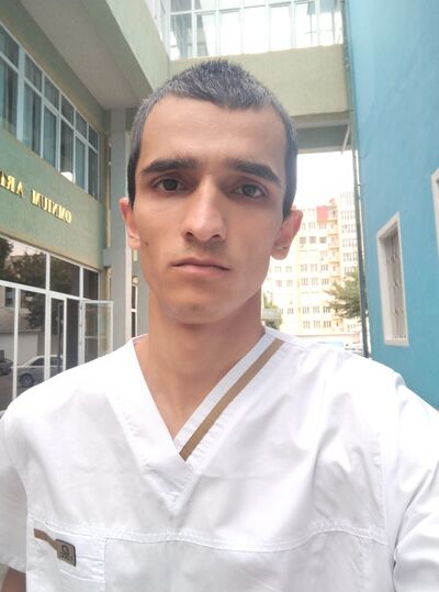  ,   Kobil, 24 ,   ,   