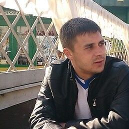  ,   , 37 ,   