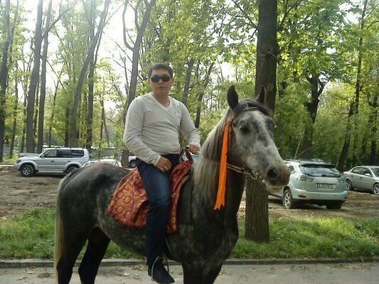  ,   Baur, 42 ,   ,   , c 