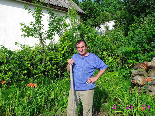  ,   , 61 ,   ,   , c , 