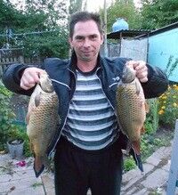  ,   , 48 ,   