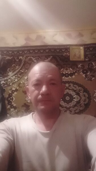  -,   , 46 ,   ,   