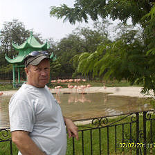  --,   , 71 ,   ,   , c 
