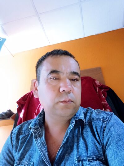  ,   Yorilla, 49 ,   ,   