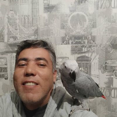  ,   , 47 ,     , c , 