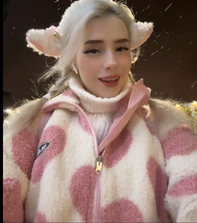  --,   , 24 ,   ,   
