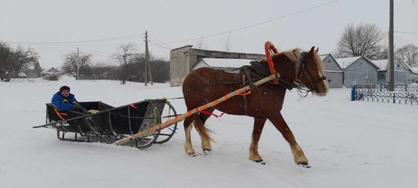  ,   Viktor, 52 ,   ,   