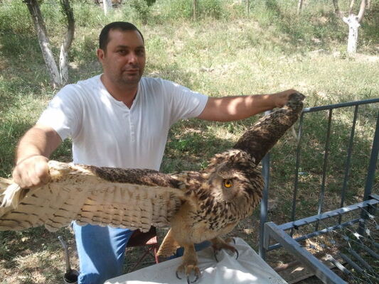  ,   Grishok, 48 ,   