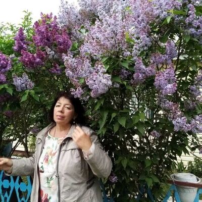  ,   , 58 ,     , c 